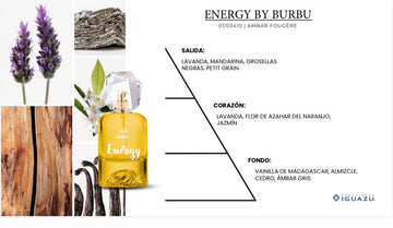 BDS | ENERGY BY BURBU