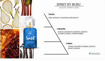 BDS |  SPIRIT BY BURBU